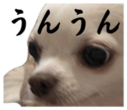 695231378