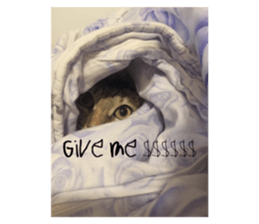 695232146
