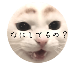 695246135