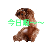695248155