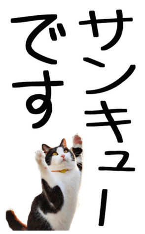695268748
