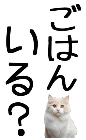 695268753