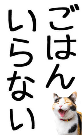 695268754