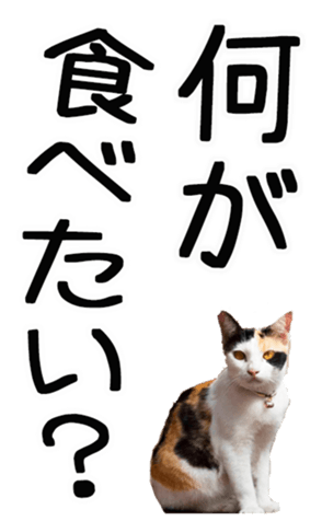 695268757
