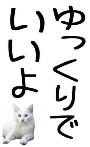 695268765