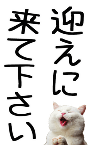 695268769