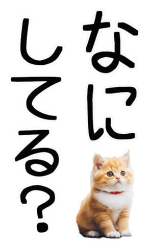 695268772