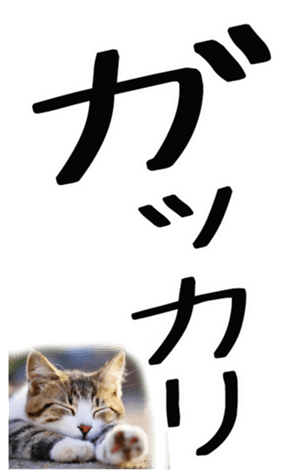 695268778