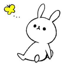 69529113
