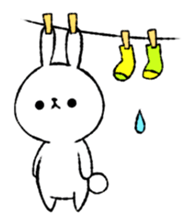 69529117