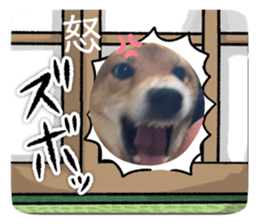 695332199