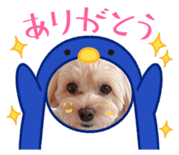 695371774