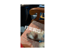 695393678