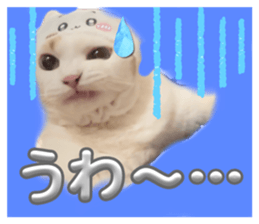 695395927