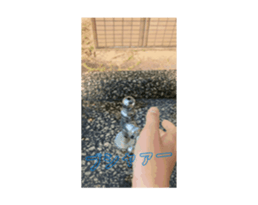 695396193