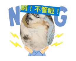 695396700