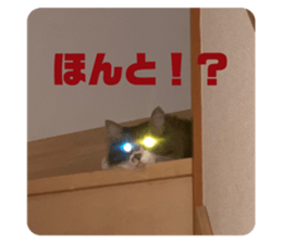 695405891