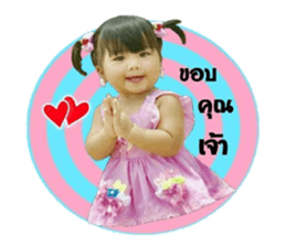 69543641