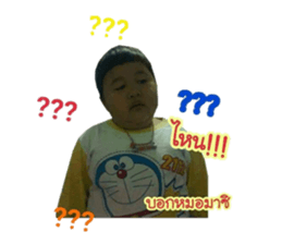 69544196