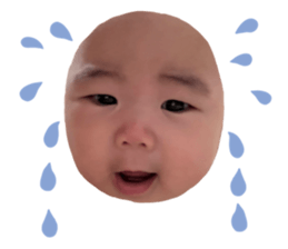 695445410