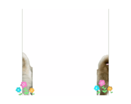 695458033