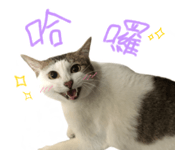 695458506