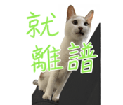 695458516