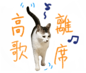695458517