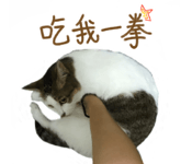 695458520