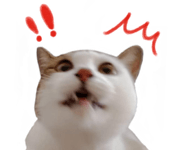 695458521