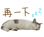 695458522