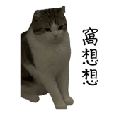 695468557