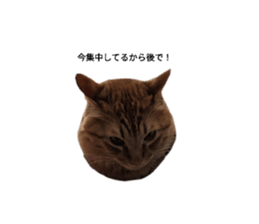 695479065