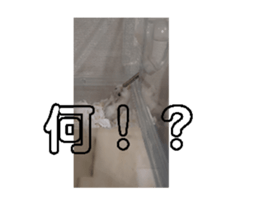 695514753