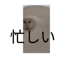 695514754