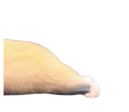 695515002