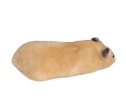 695515008