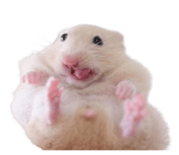 695515010