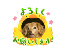 695515309