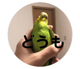 695530220