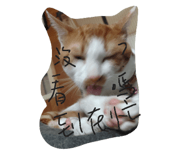 695556994