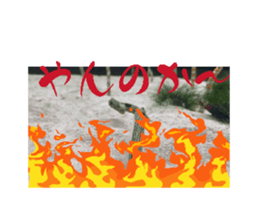 695561635