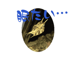 695561638