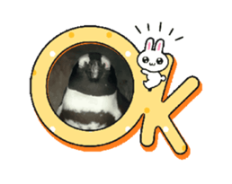 695561639