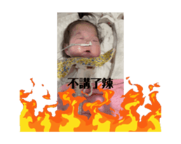 695576593