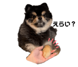 695606530