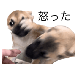 695629328