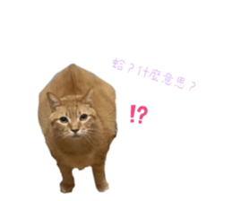695647876