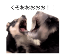 695673356