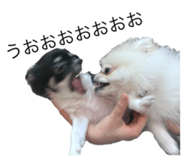 695673359